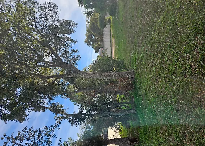 Mobilehome Chez Dede פורטו-וישיו